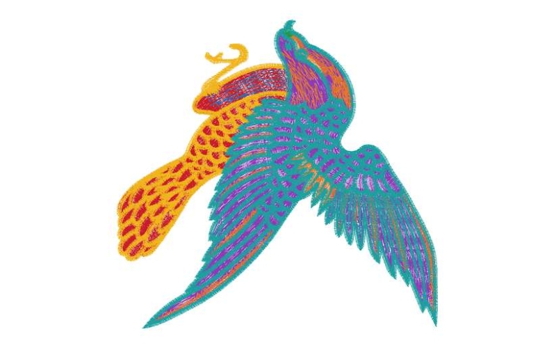 小鸟