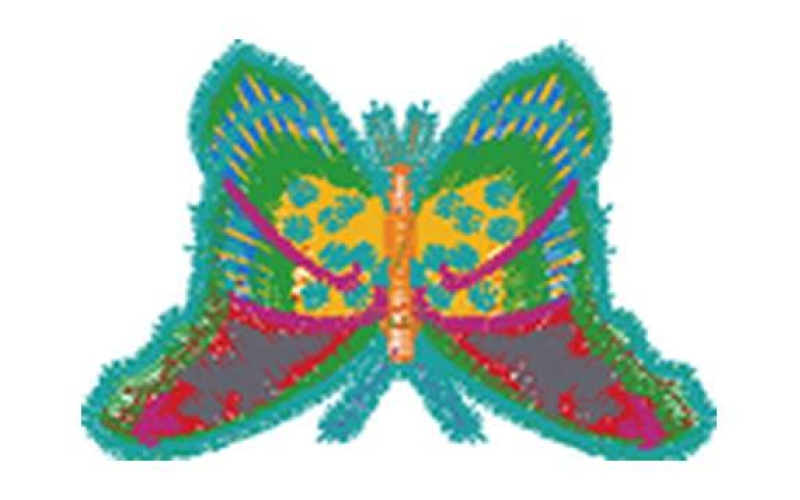 蝴蝶
