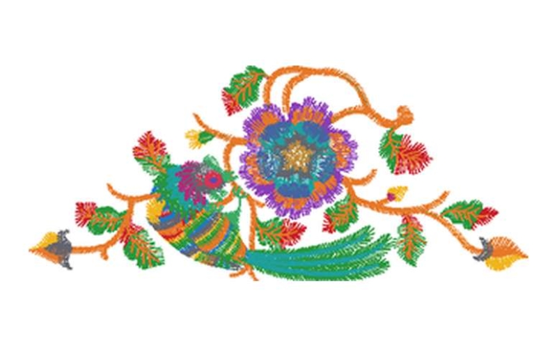 小鸟