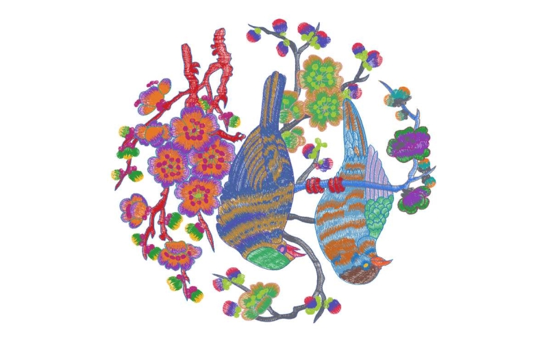 小鸟