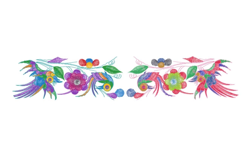 条纹鸟