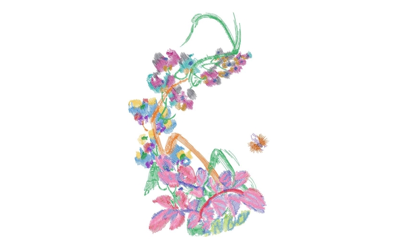 美丽花卉