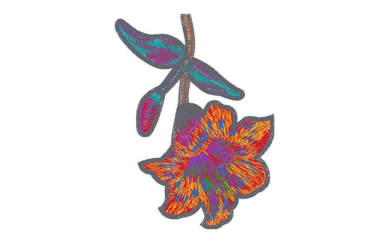 美丽花卉