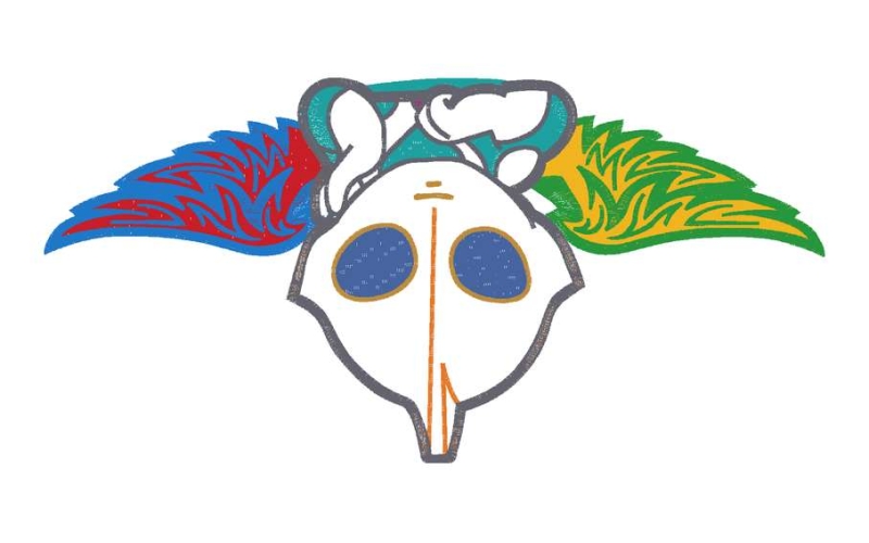 卡通奥特曼