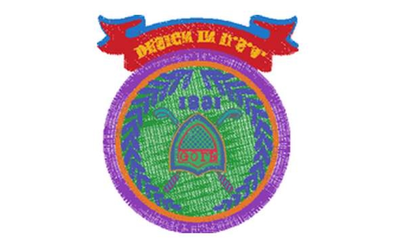徽章标志