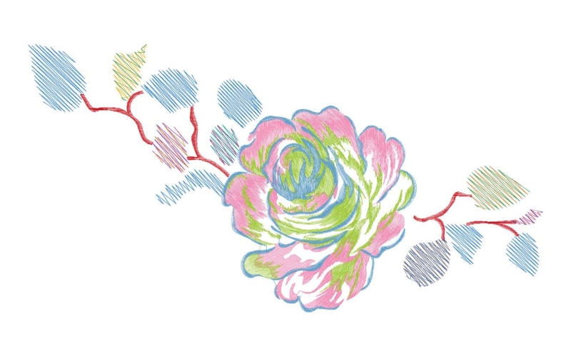 美丽花卉