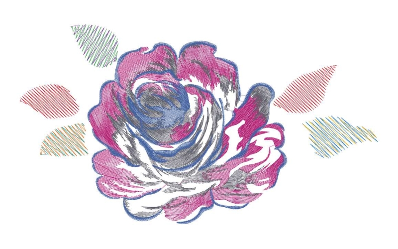 美丽花卉