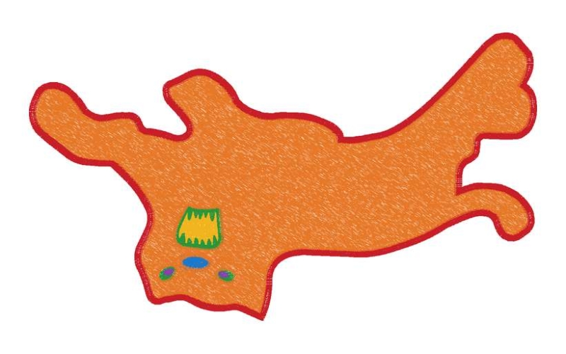 豹