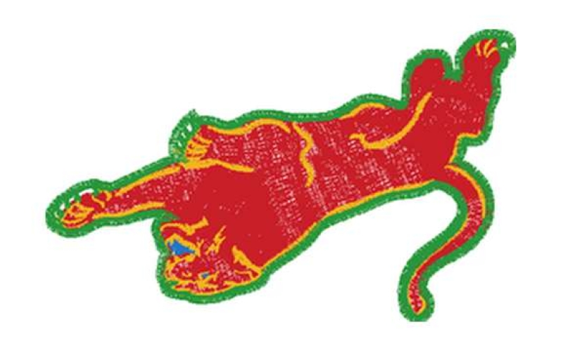 豹