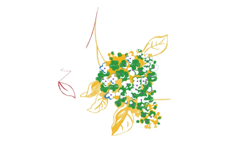 美丽花卉