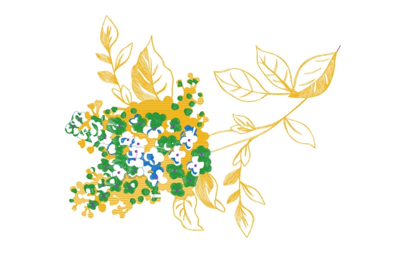 美丽花卉