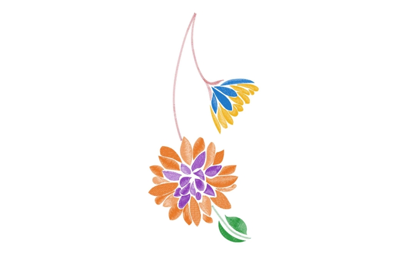 美丽花卉