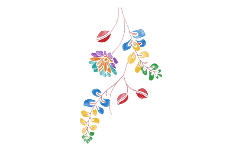 美丽花卉