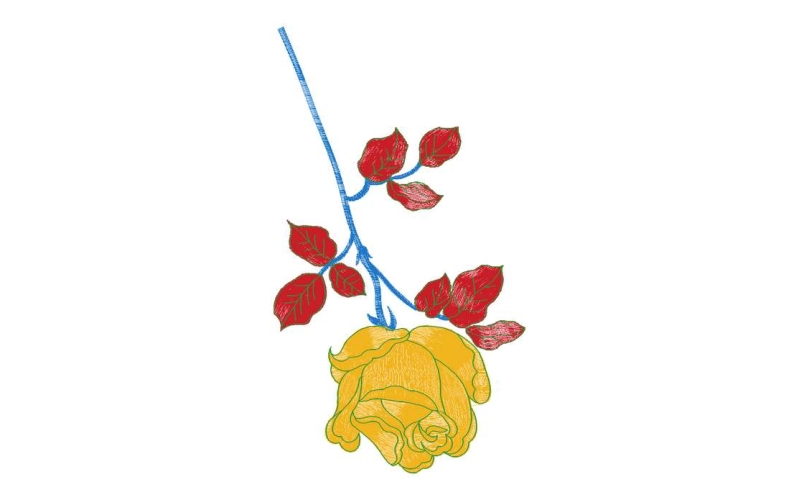 美丽花卉