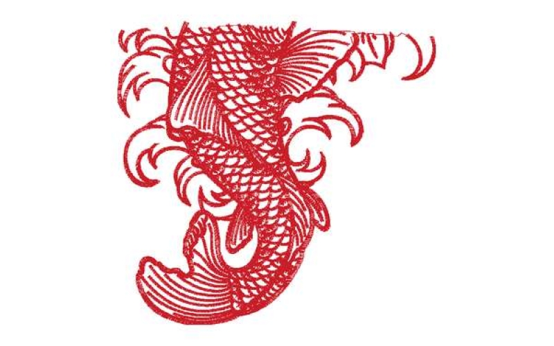 鲤鱼