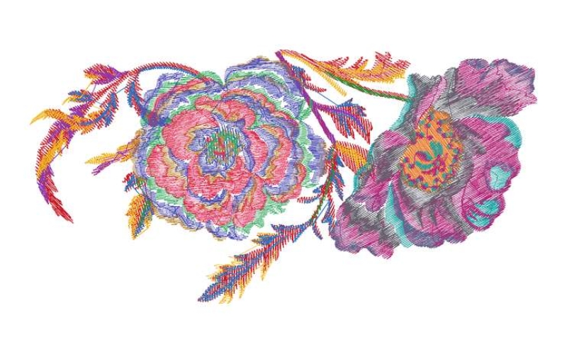 美丽花卉