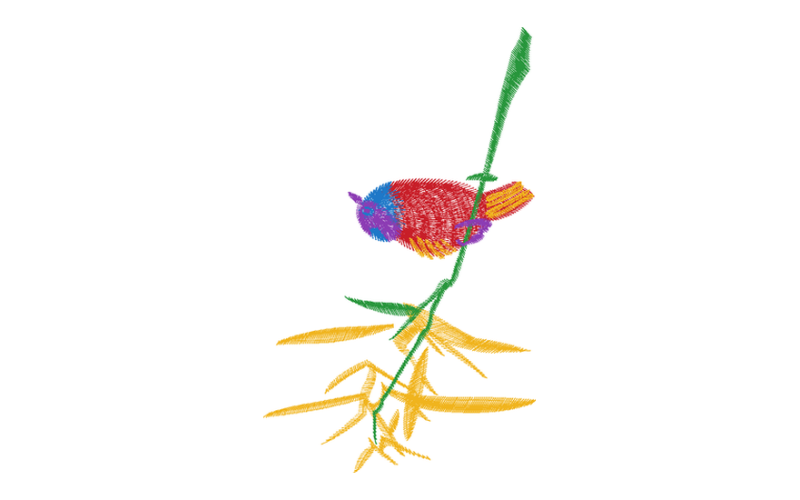 鸟竹