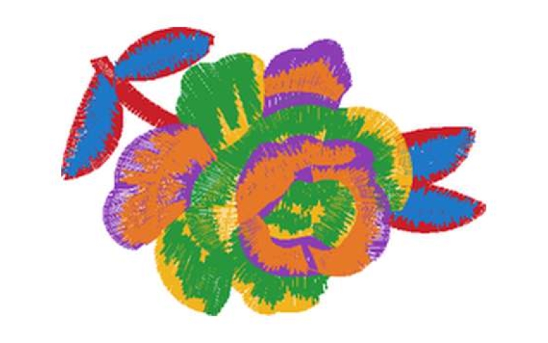 美丽花卉