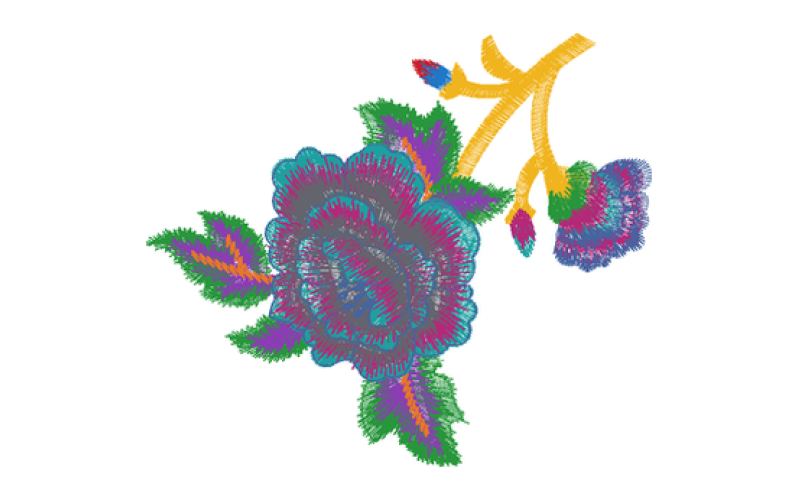 美丽花卉