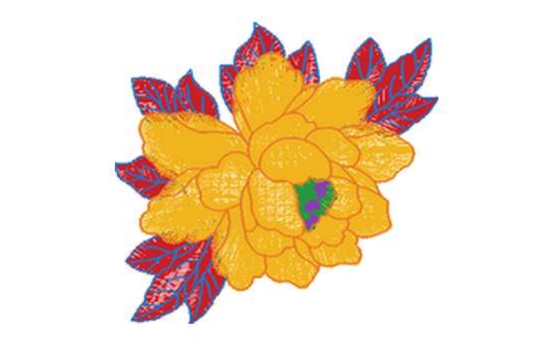 美丽花卉