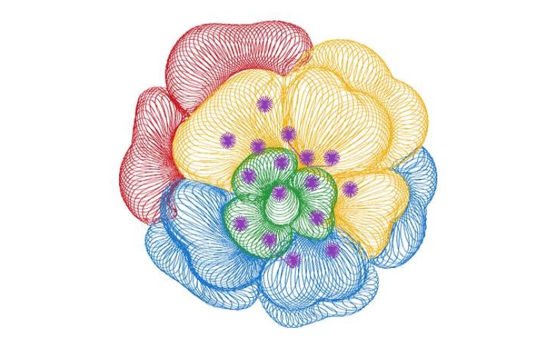 美丽花卉