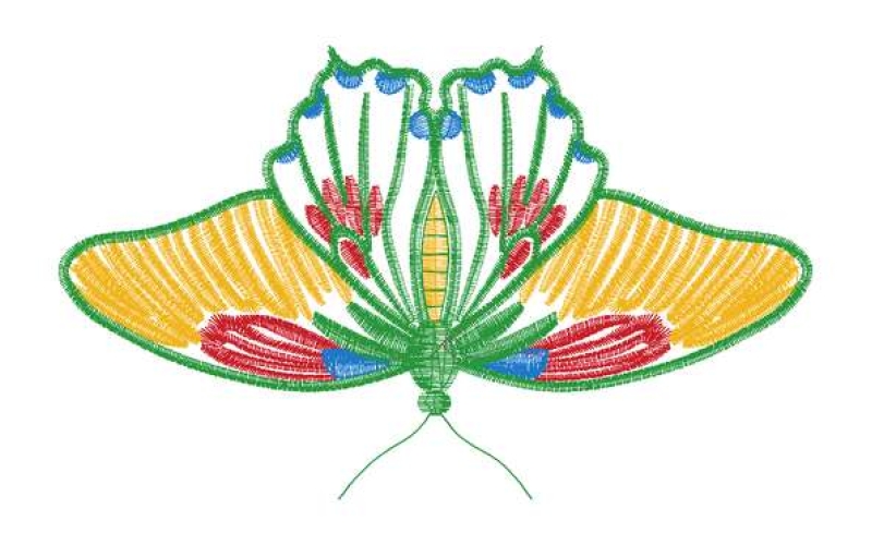 蝴蝶
