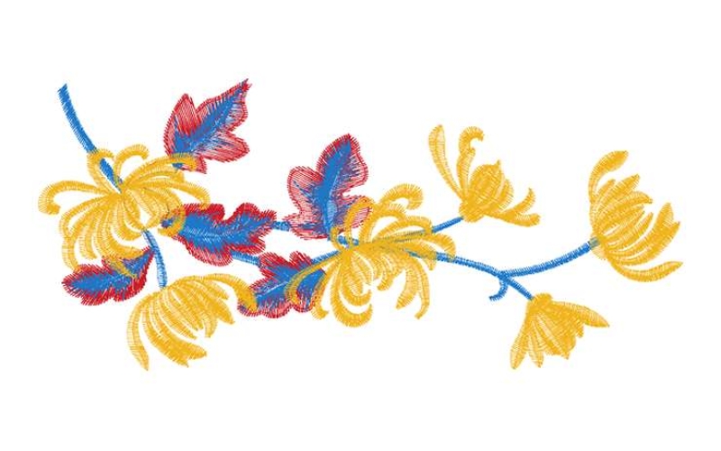 菊花