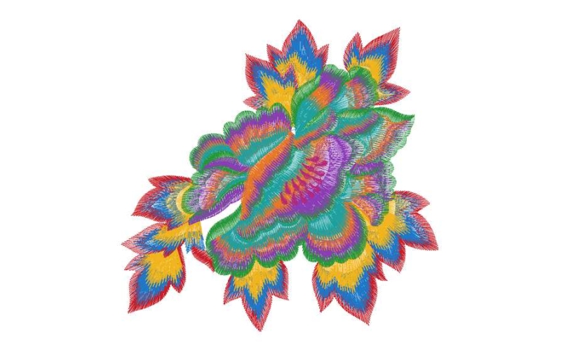美丽牡丹