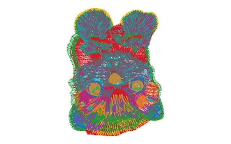 猫和狗