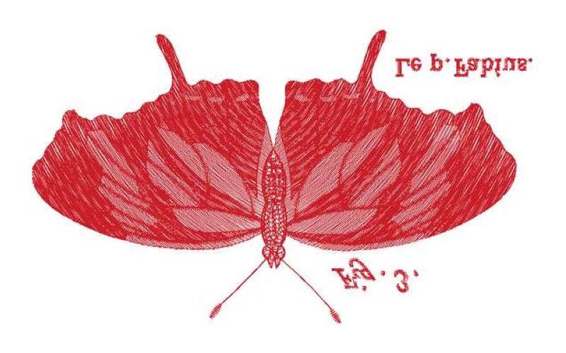 蝴蝶