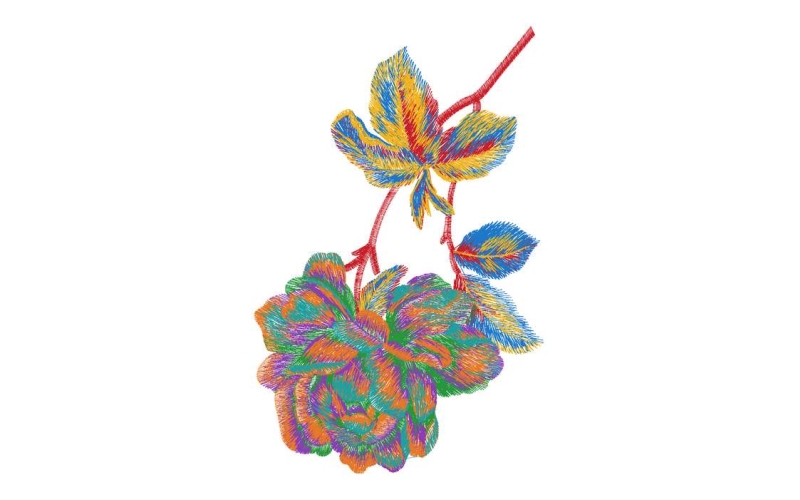 美丽花卉