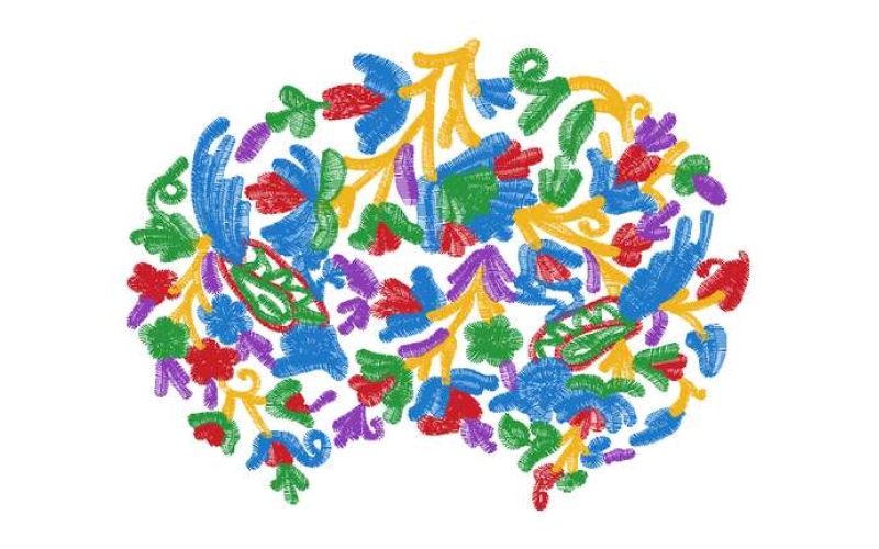 鸟美丽花卉