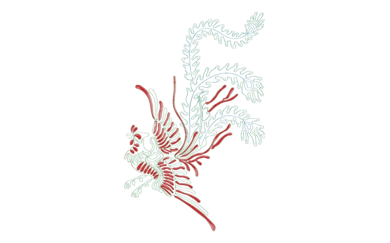 凤凰珠片绳绣