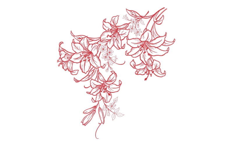 美丽花卉