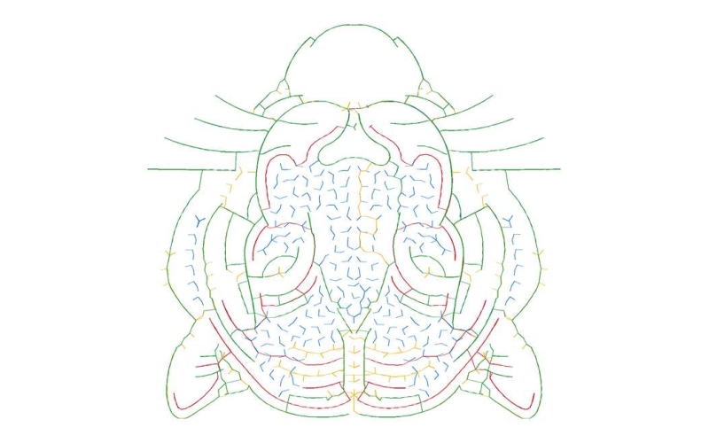 虎头珠绣