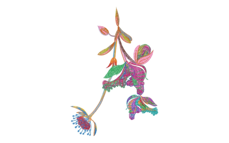 美丽花卉