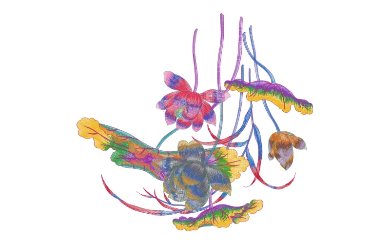莲花美丽花卉
