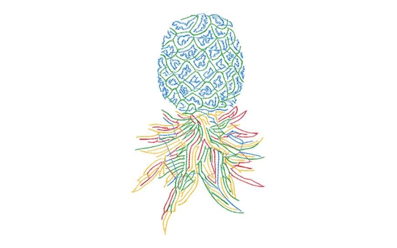 菠萝珠绣