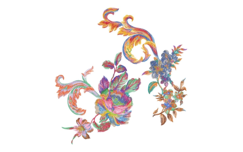 美丽牡丹