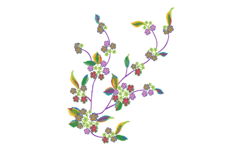 美丽花卉