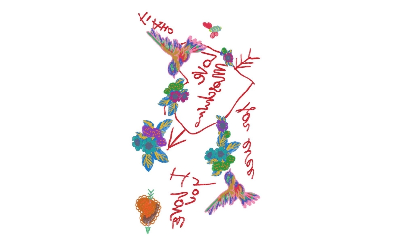 鸟