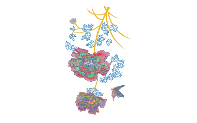 美丽牡丹