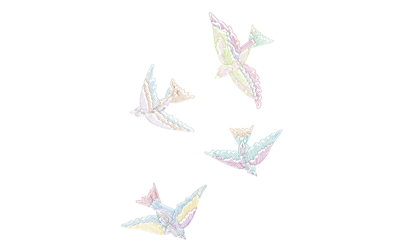 鸟珠片
