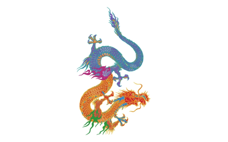 龙
