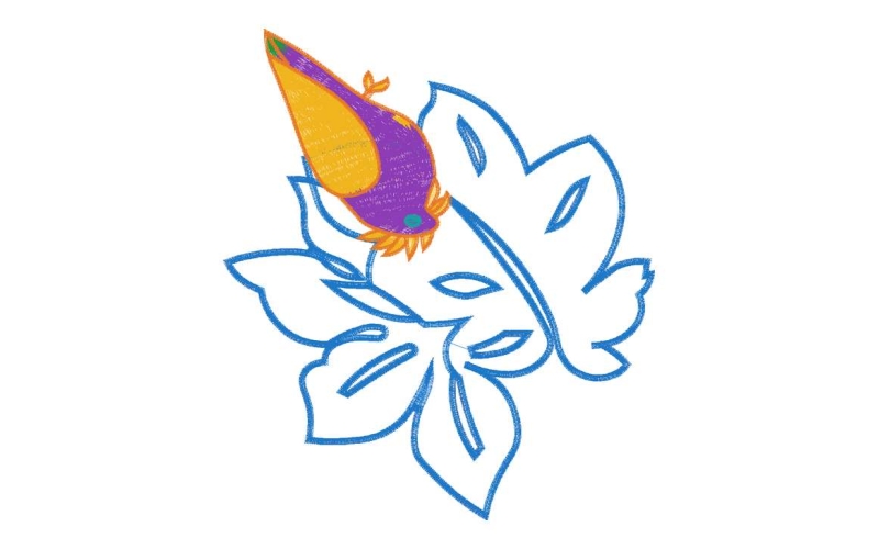 鸟
