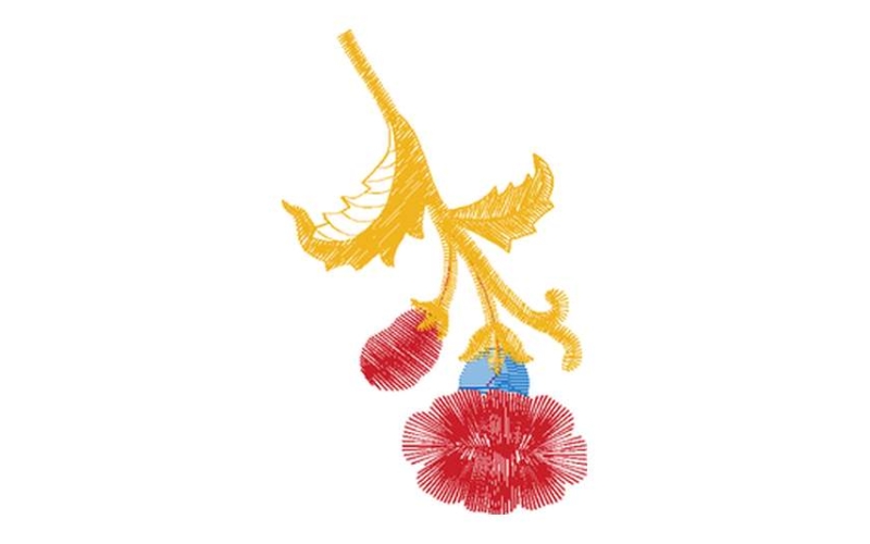 美丽花卉