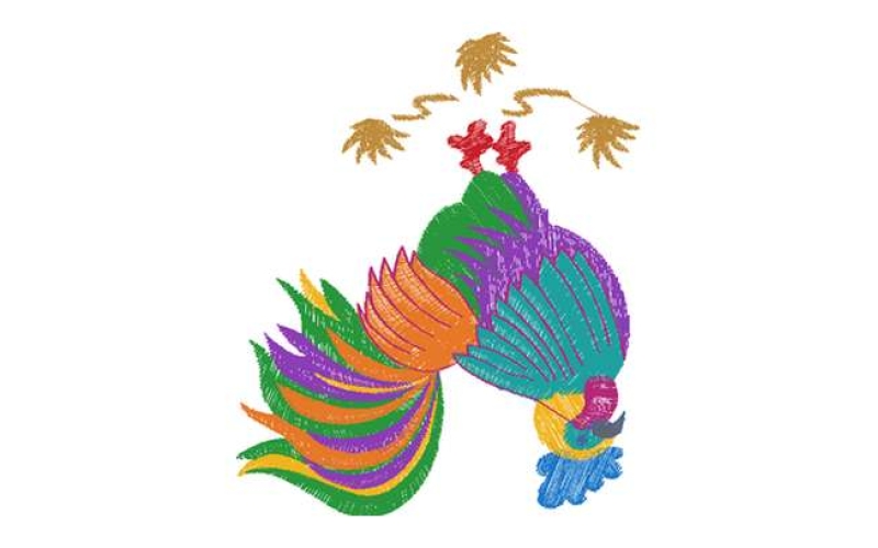 公鸡
