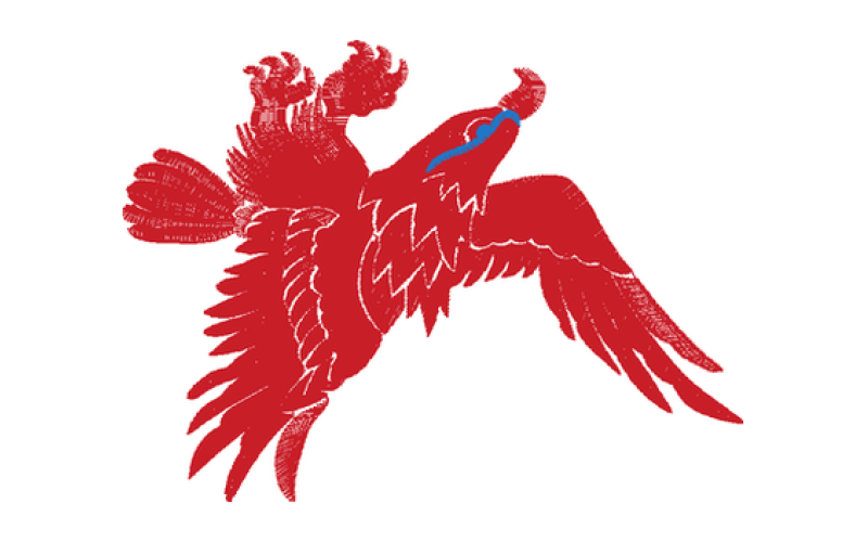 鹰