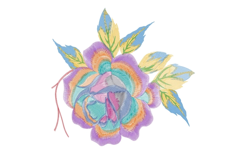 美丽花卉