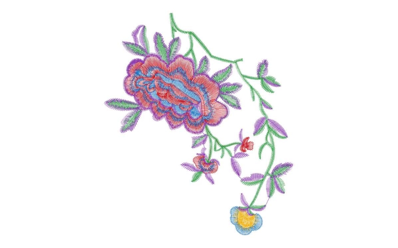 美丽花卉